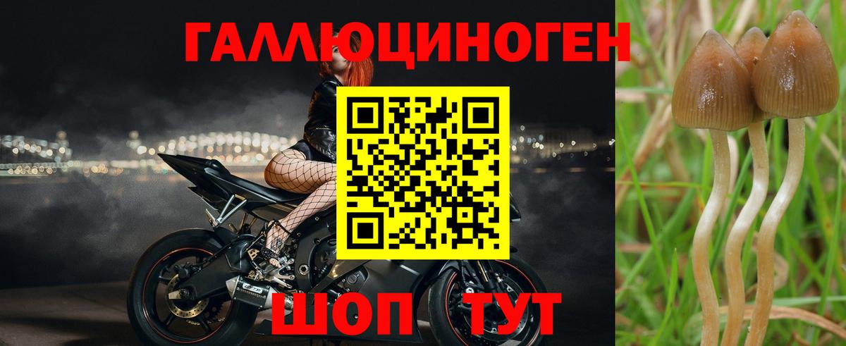 Псилоцибиновые грибы мицелий  Вход с VPN  хочу наркоту  Красноуфимск 